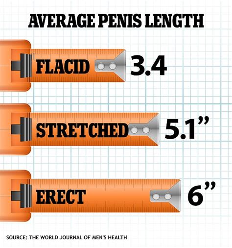 teen dick pics|Average Penis Size and Development During Puberty